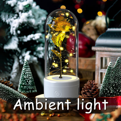 2-in-1 Rose LED Light with Bluetooth Speaker – Romantic Glass Dome Night Light Gift for Valentine's Day - SmartPlaceShop